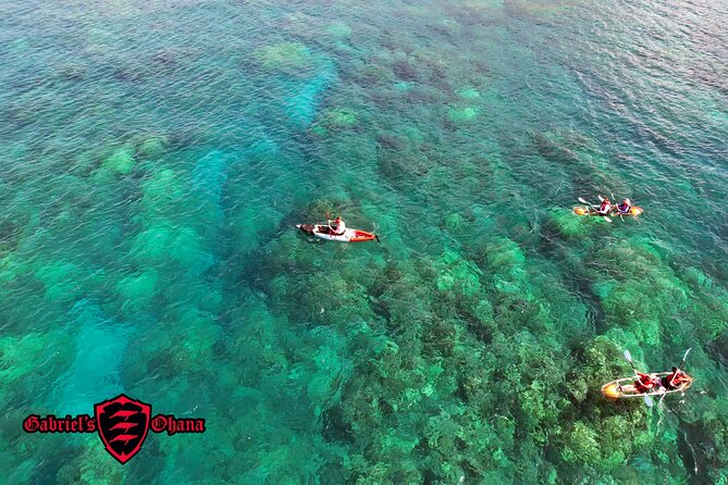 Clear Kayak Tour With Pontoons With Optional Snorkeling, Maui - Future Tour Considerations