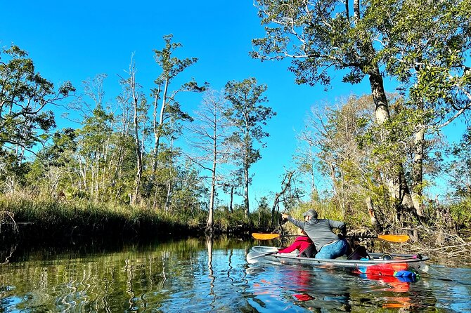 Clear Kayak Tours in Weeki Wachee - Sum Up