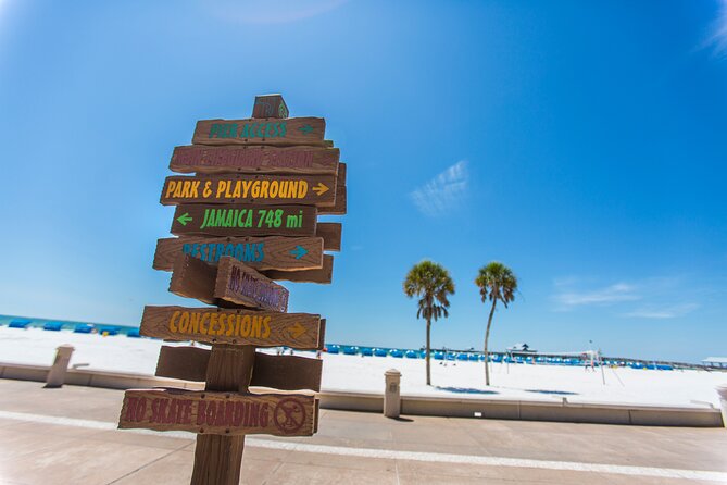 Clearwater Beach Dolphin Speedboat Adventure With Lunch & Transport From Orlando - Sum Up