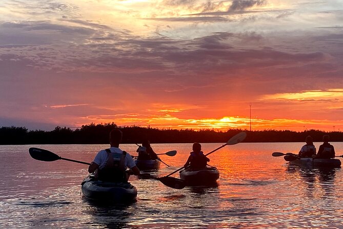 Cocoa Beach Small-Group Bioluminescent Sunset Kayak Tour - Sum Up and Final Thoughts