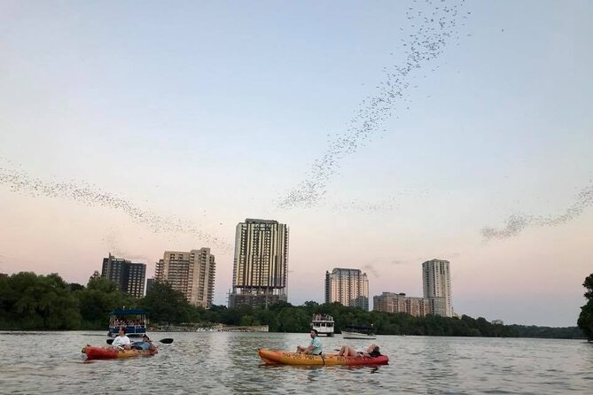 Congress Avenue Bat Bridge Kayak Tour in Austin - Common questions