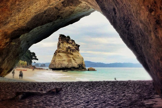 Coromandel Peninsula Discovery - Private Tour From Auckland - Contact Information