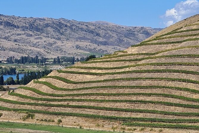 Cromwell Wine Tasting Tour Using Classic Car - Sum Up