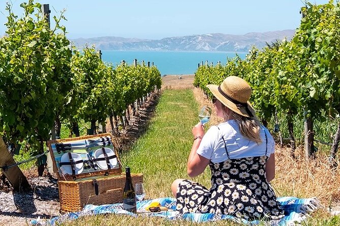 CRUISE SHIP DAY Hop on Hop off Yealands & Marlborough Tour - Sum Up