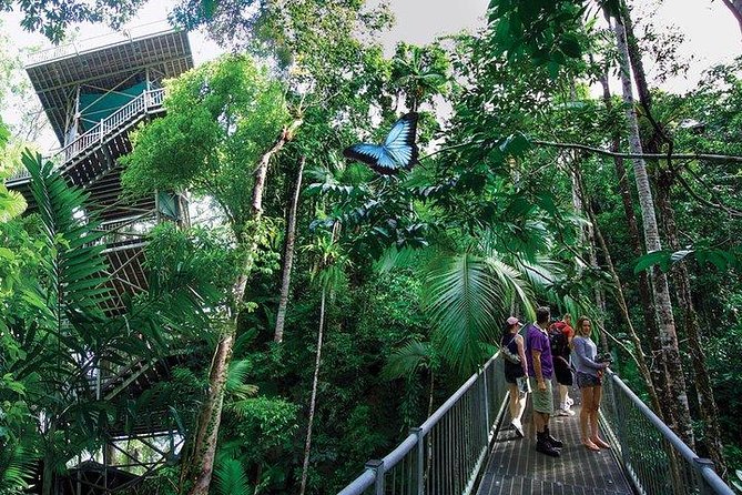 Daintree Discovery Centre Family Pass Ticket - Sum Up