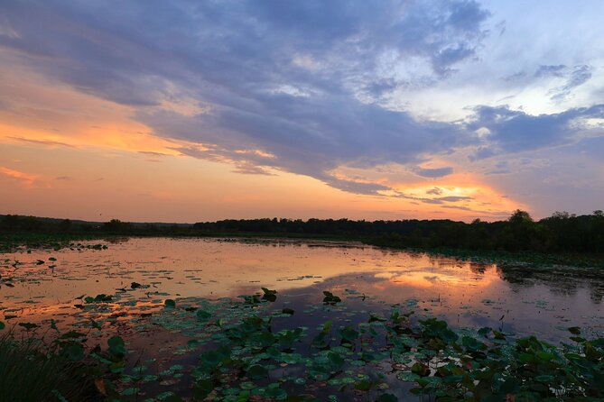 Darwin: Evening Tour to Fogg Dam Wetlands and Humpty Doo Hotel - Common questions