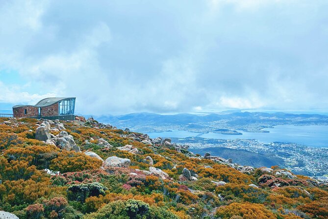 Day Tour in Mt. Field, Mt. Wellington, Bonorong Wildlife Sanctuary and Richmond - Diverse Activities and Experiences
