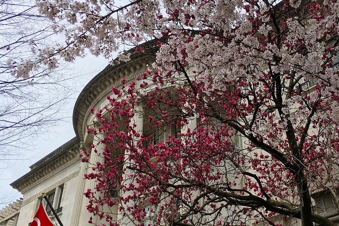 DCs Dupont Circle & Embassy Row Architecture Walking Tour - Booking Details