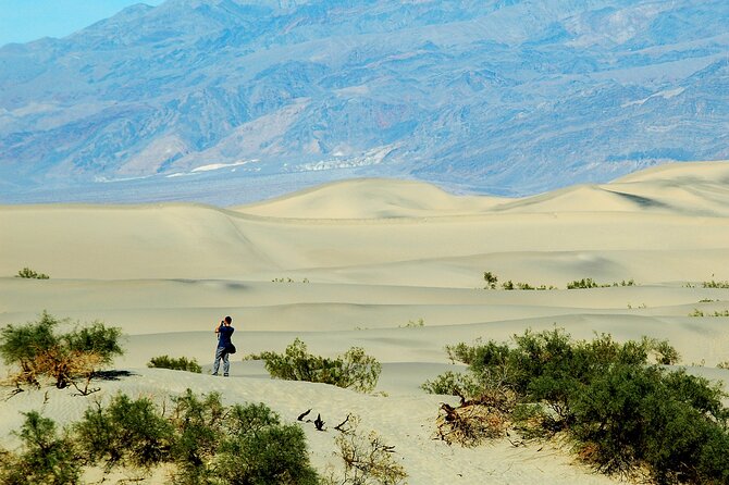 Death Valley Day Trip From Las Vegas - Owners Responses