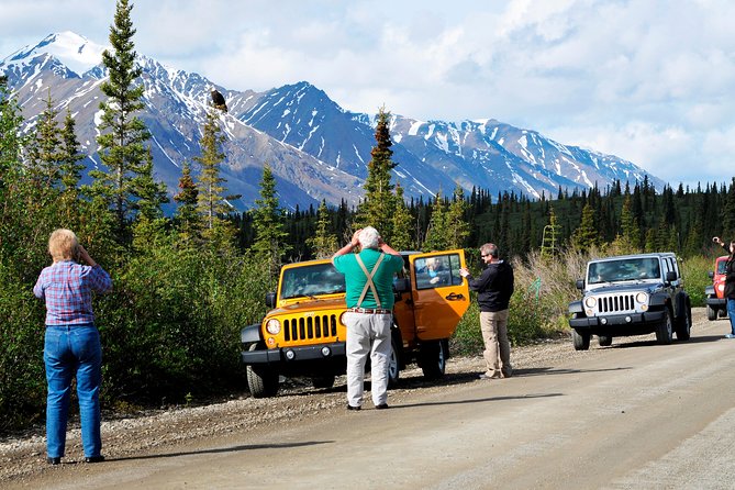 Denali Highway Jeep Excursion - Safety Measures and Age Requirement