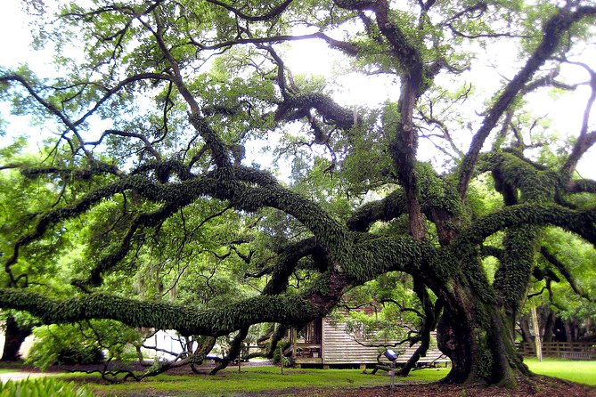 Destrehan Plantation Tour - Sum Up