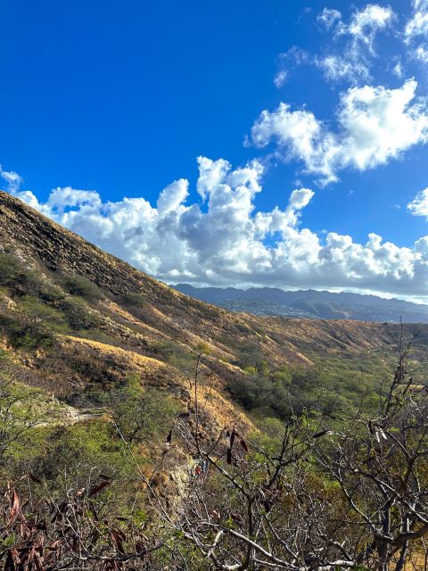 Diamond Head Manoa Falls - Highlights