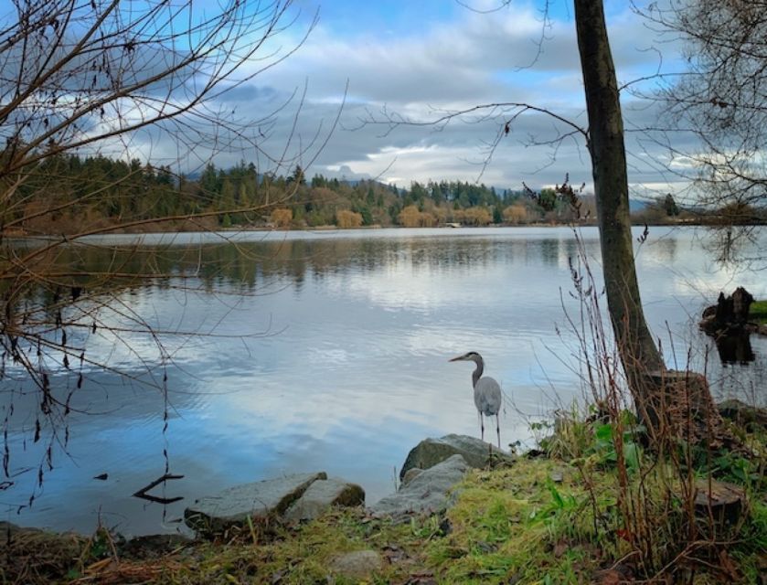 Discover Stanley Park With a Smartphone Audio Walking Tour - Sum Up