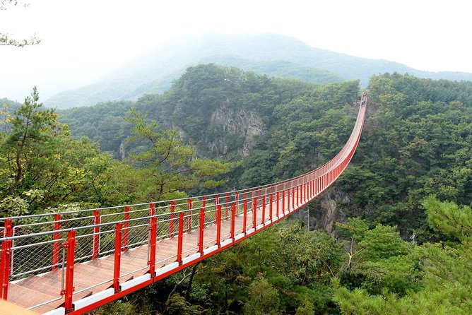 DMZ 3rd Invasion Tunnel and Suspension Bridge Day Tour From Seoul - Sum Up