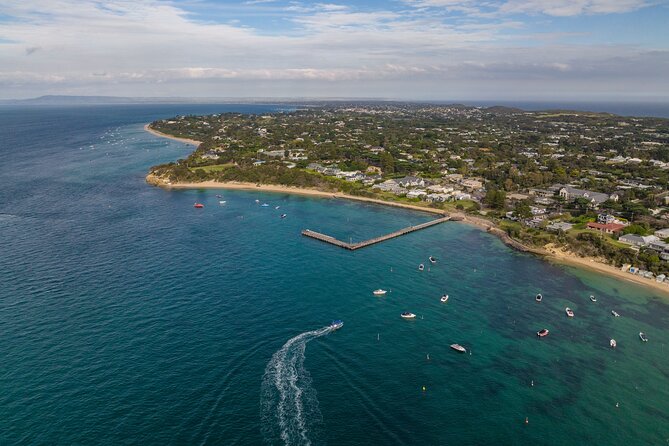 Dolphin and Seal Swim Reef Snorkel Boat Tour Mornington Peninsula - Additional Information Provided