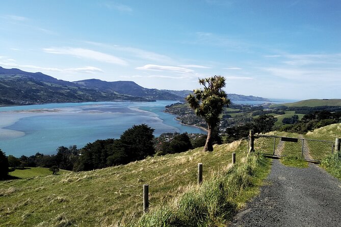 Dunedin City, Wildlife and Larnach Castle - Sum Up