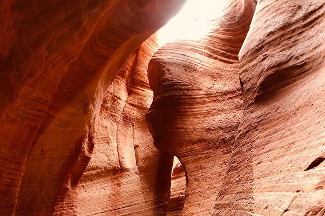 East Zion 4 Hour Slot Canyon Canyoneering UTV Tour - Sum Up