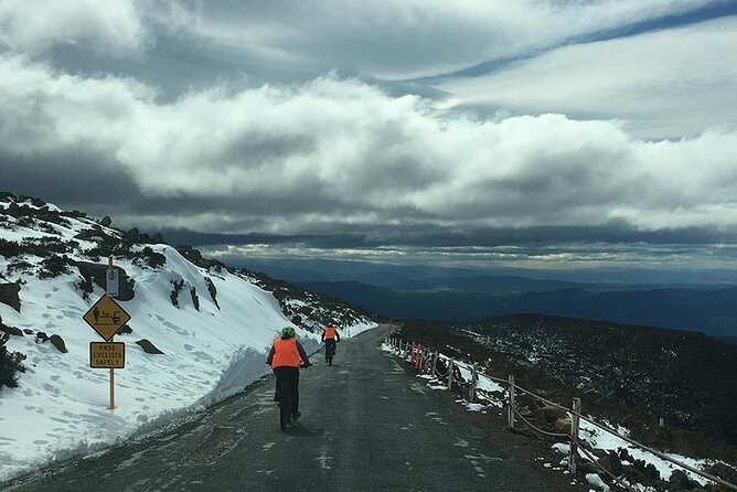 Easy Bike Tour - Mt Wellington Summit Descent & Rainforest Ride - Safety and Policies