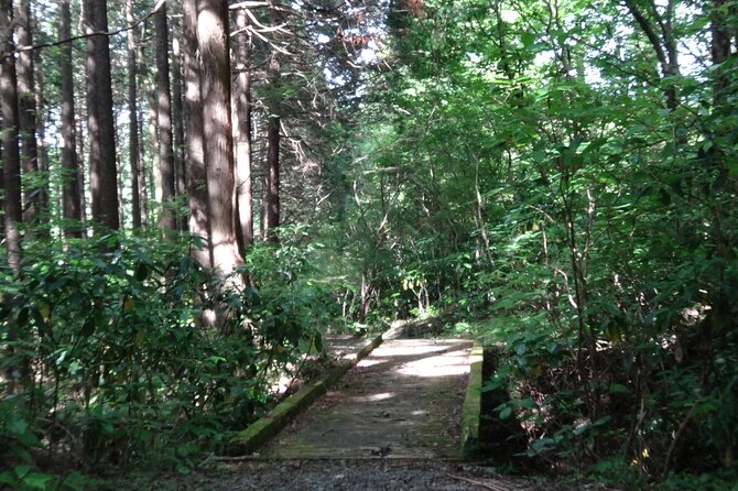 Easygoing Nature Walk in Hakone Tour - Directions