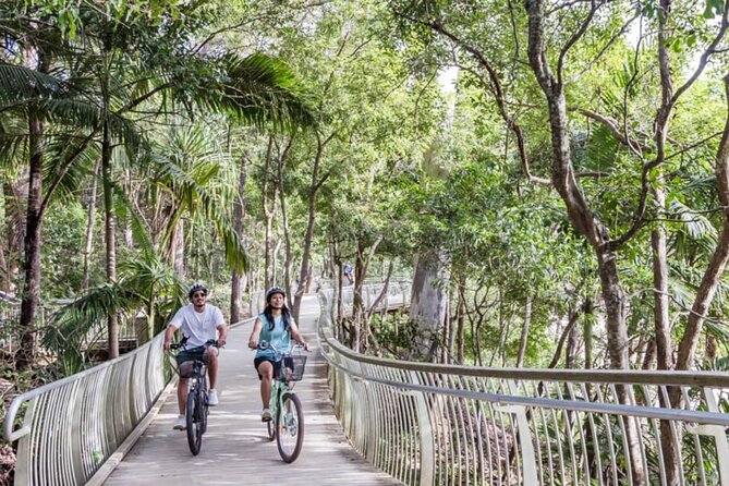 Ebike Noosa Sightseeing Tour - New! - Review Sources