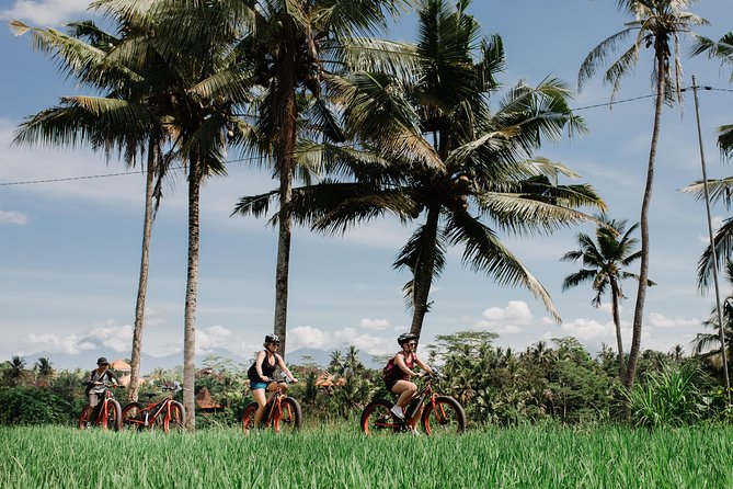 Electric Bike Tour in Ubud - Common questions