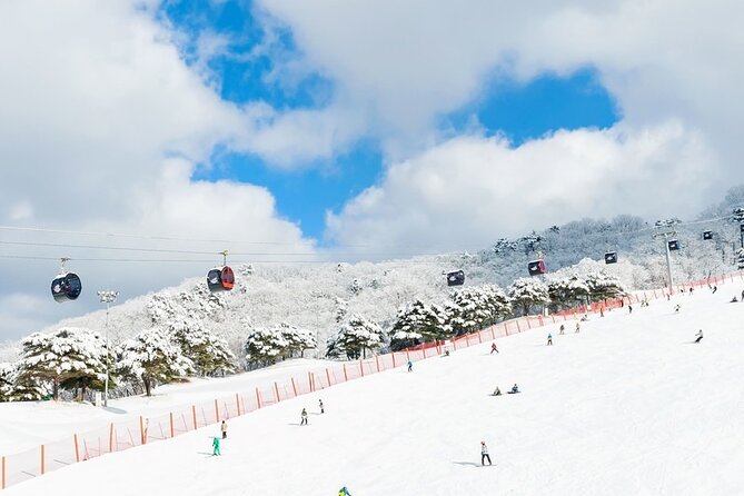Enjoy Korea Ski Tour and Winter Ocean For 5D 4N - Refund and Change Policy