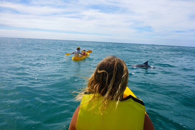 Epic Rainbow Beach Dolphin Kayak and 4WD Adventure Tour - Sum Up