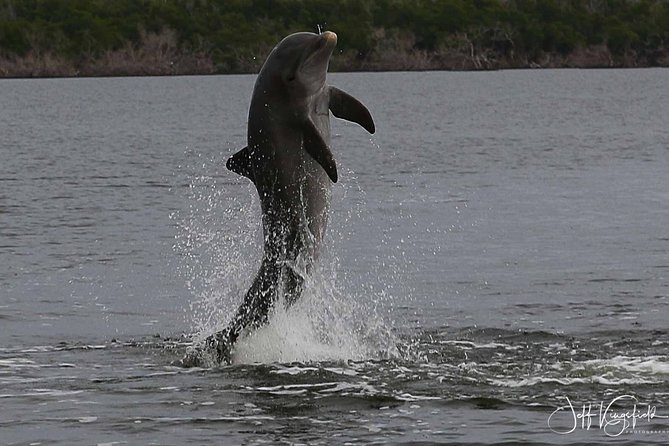 Everglades National Park Dolphin, Birding and Wildlife Boat Tour (2 Hours) - Meeting Point Information