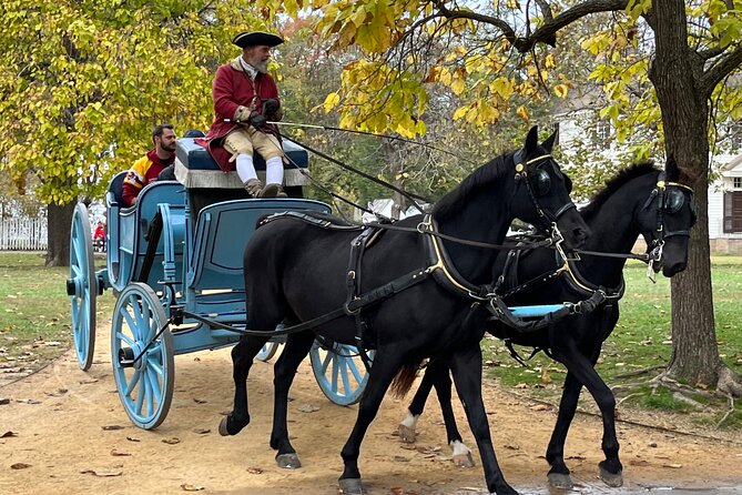 Exclusive Private Tour of Colonial Williamsburg and the College - Tour Highlights and Inclusions