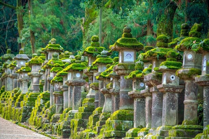 Explore the Best Spots of Arashiyama / Nara in a One Day Private Tour From Kyoto - Common questions