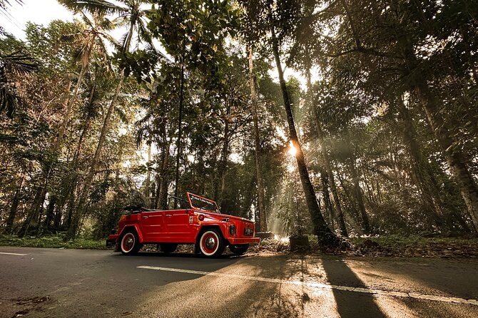 Explore the Highlight of Ubud by Vintage Volkswagen Car - Tips for an Unforgettable Ubud Tour