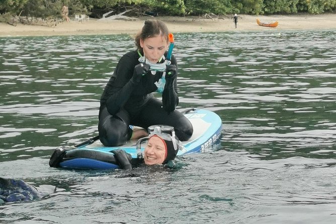 Fitzroy Island Sup/Snorkel Tour - Sum Up