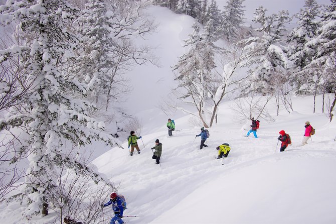 Fluffy New Snow and the Earth Beating, Goshougake Oyunuma Snowshoeing Tour - Direction Confirmation and Accessibility