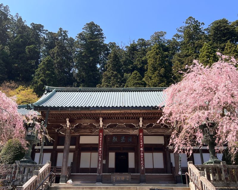 Fm Odawara: Forest Bathing and Onsen With Healing Power - Onsen Healing Properties