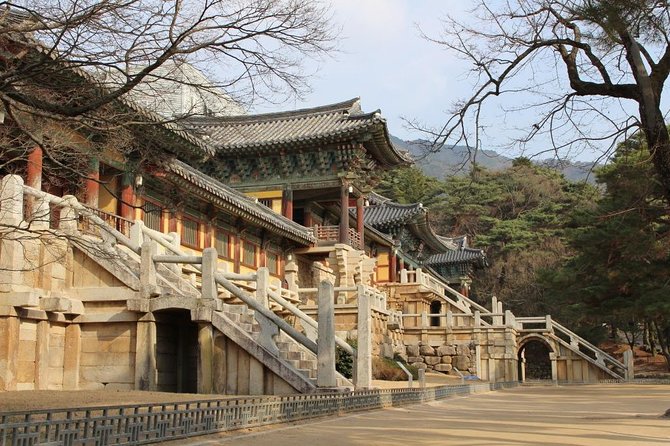 [For a Group of 15-43] Day Trip to Gyeongju From Busan - Safety and Emergency Protocols