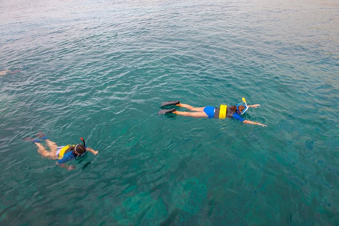 Four Winds II Molokini Snorkeling Tour From Maalaea Harbor - Guest Experiences and Testimonials