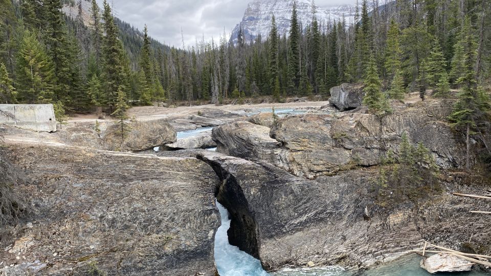 From Calgary Airport: One-Way Private Transfer to Banff - Private Driver and Personalized Experience