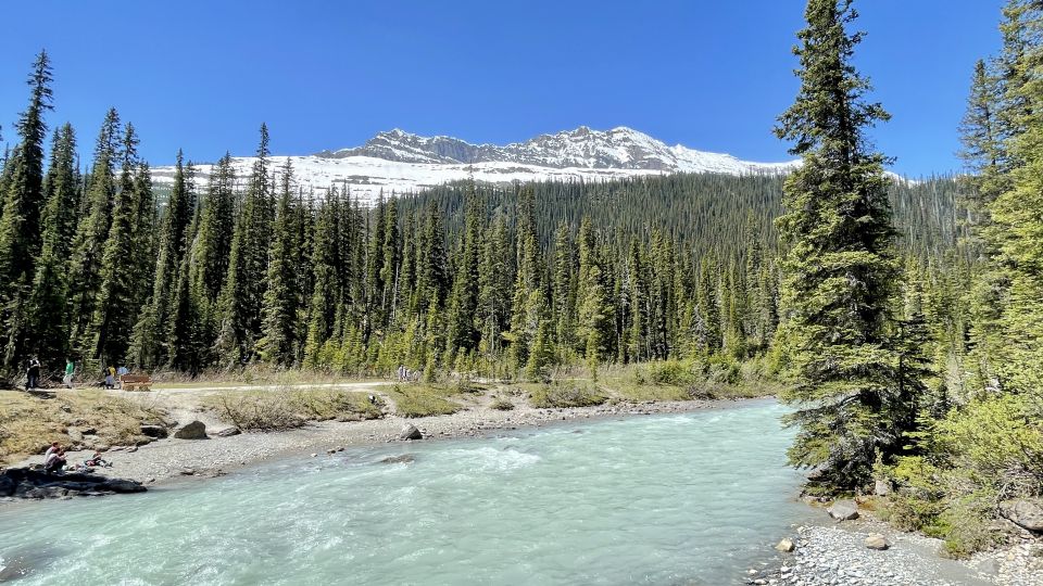 From Calgary: Banff & Yoho National Parks Private Day Tour - Sum Up