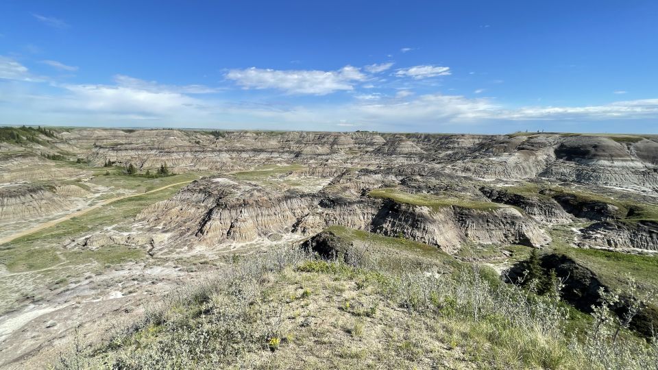 From Calgary: Canadian Badlands Private Geological Tour - Common questions