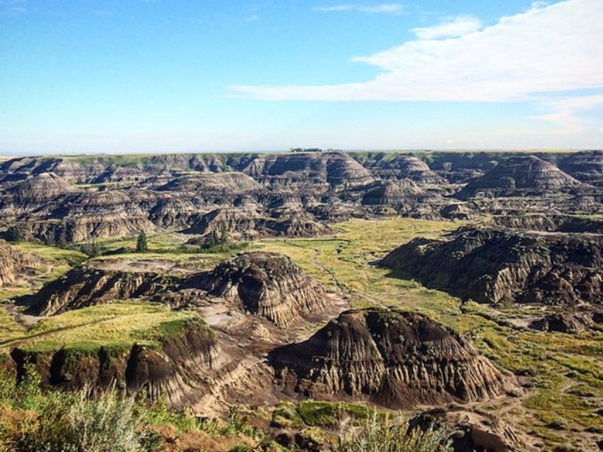 From Calgary: Guided Day Tour to Drumheller - Important Reminders