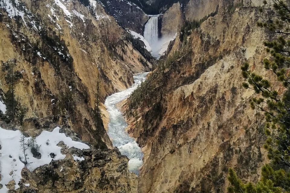 From Jackson: Yellowstone National Park Day Trip With Lunch - Sum Up