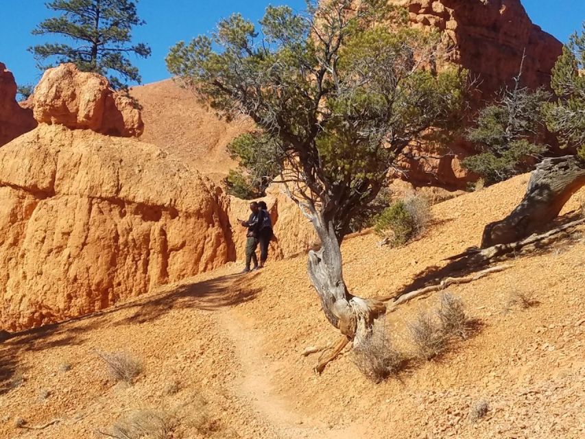 From Las Vegas: Zion and Bryce Canyon Guided Day Tour - Sum Up