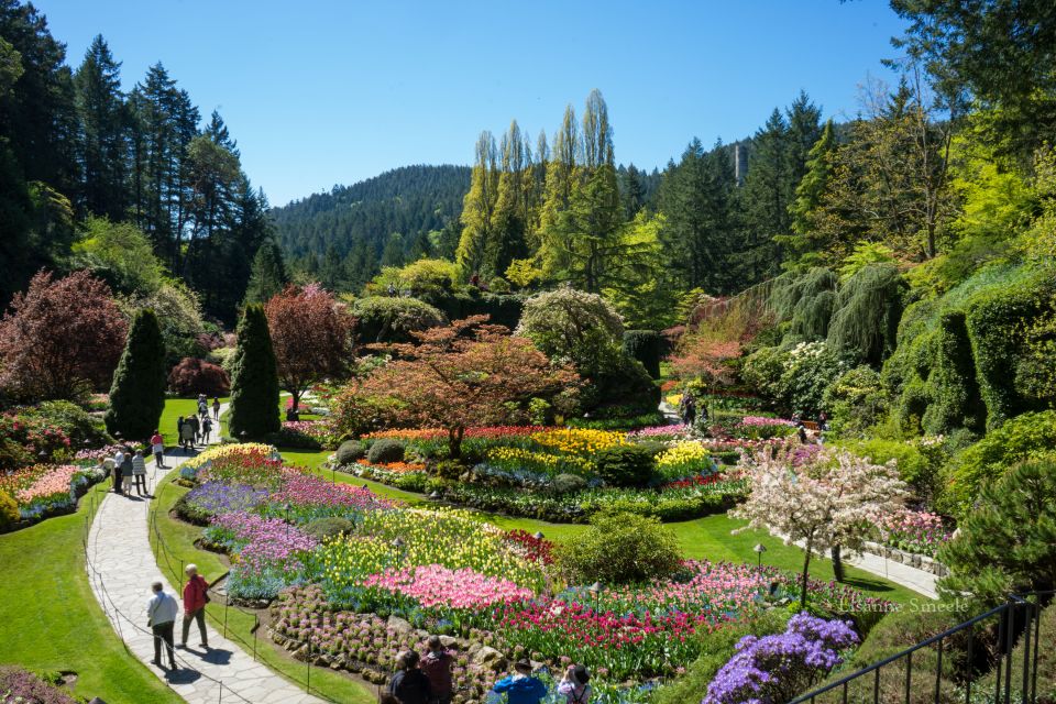 From Vancouver: Butchart Gardens & Victoria Sightseeing Tour - Sum Up
