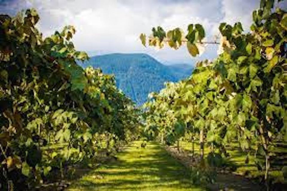 From Vancouver: Half-Day Fraser Valley Wine Tour - Common questions