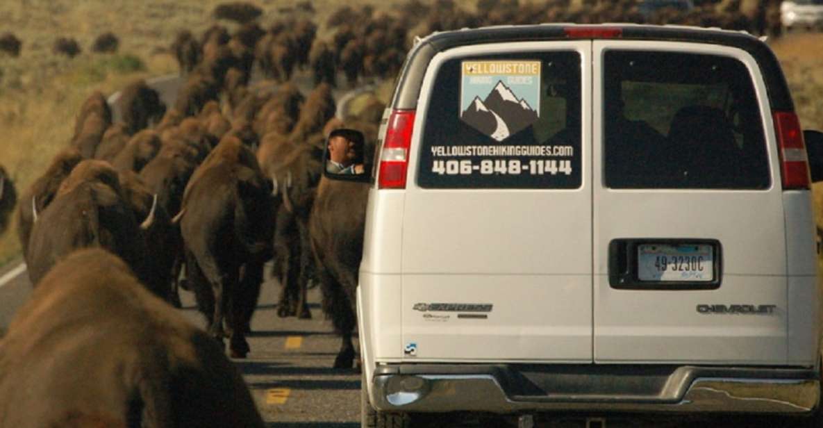 From West Yellowstone: Lamar Valley Wildlife Tour by Van - Common questions