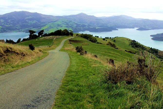 Full-Day Akaroa Tour With Penguins Safari and Wine Tasting - Common questions
