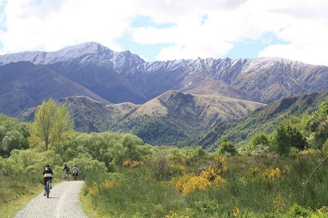 Full Day Bike Hire From Arrowtown - Accessibility Notes