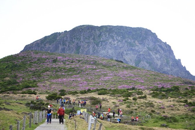 Full-Day Customizable Private Essential Jeju Island Tour for South Course - Sum Up
