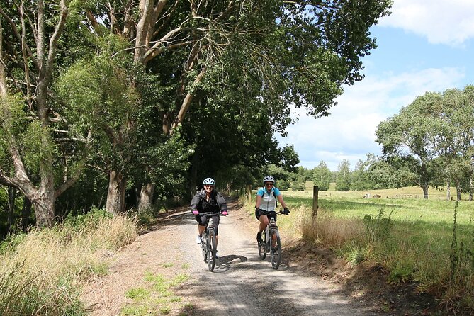 Full Day Ebike Tour in Karangahake Gorge (ex Auckland) - Sum Up