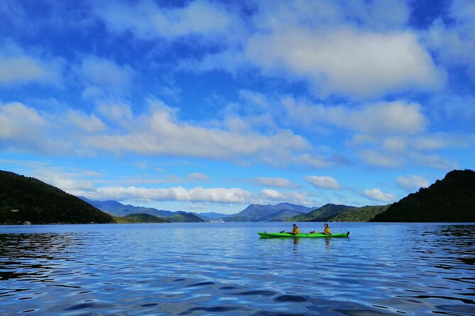 Full Day Guided Sea Kayak Tour From Picton - Common questions